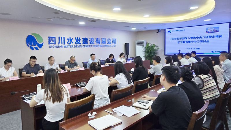 公司團(tuán)委召開(kāi)年輕干部集中學(xué)習(xí)研討會(huì)